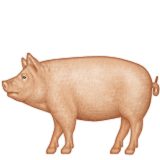 Emoji Natur-52